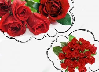 Rêve de roses