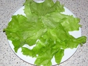 Salade de poitrine de poulet et cornichons