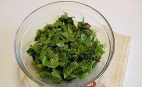Salade d'oseille