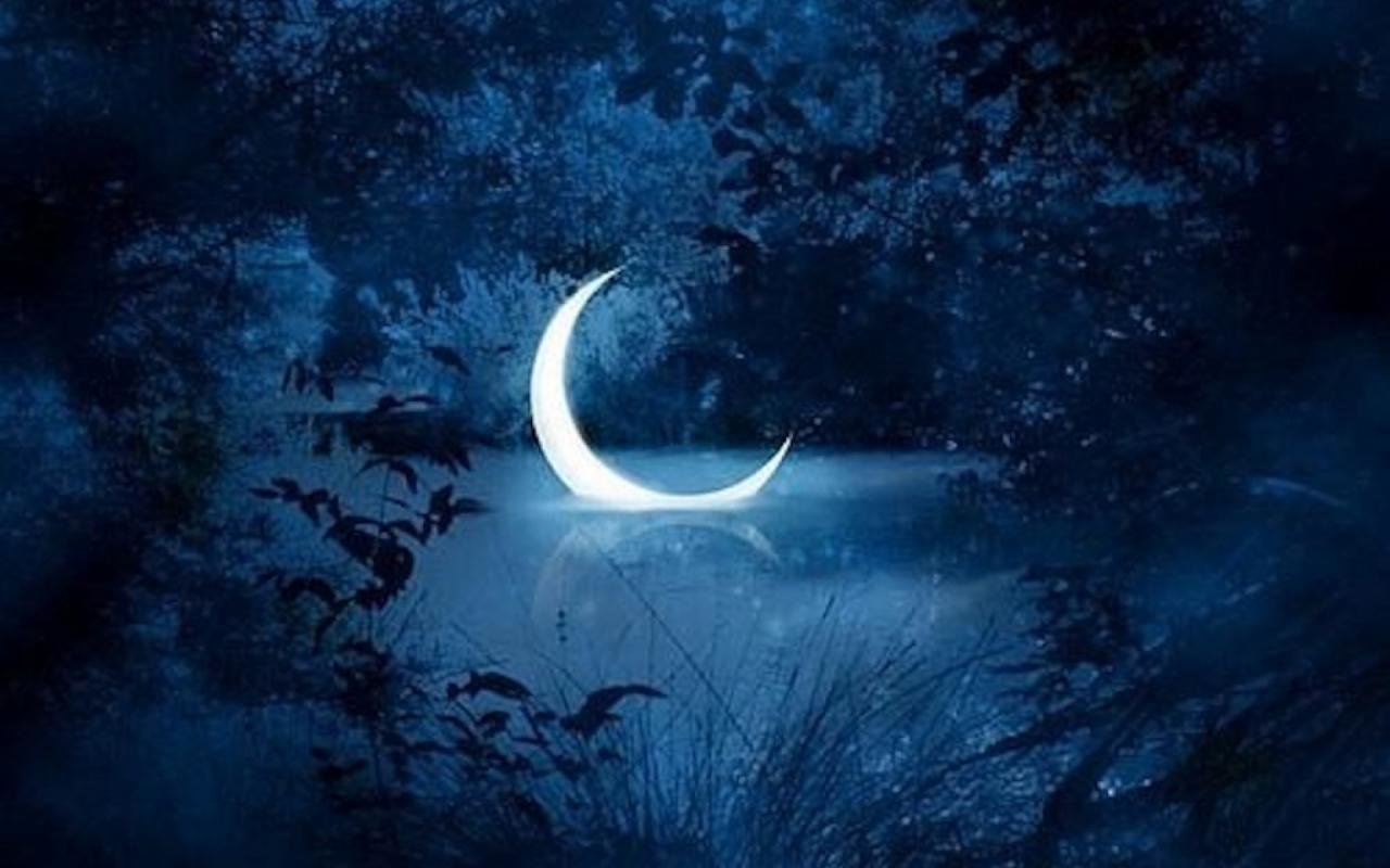 Comment parler d'une verrue?